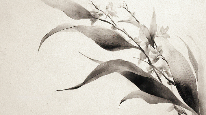 JPG 식물 디자인 꽃 예술 컬러 백그라운드 잎 일러스트 자연 수채화 수묵화 미술 평화 감상 그림 아날로그 감성 조화 뷰티풀 창작 국내일러스트 AI일러스트 AI콘텐츠 컨셉 문화예술 생태계 파일형식