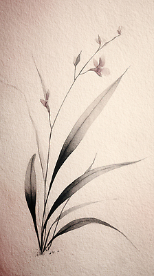 JPG 식물 디자인 꽃 예술 컬러 잎 일러스트 자연 수채화 수묵화 고요 그림 질감 감성 자연주의 뷰티풀 색채 정물화 국내일러스트 AI일러스트 AI콘텐츠 컨셉 미술 생태계 파일형식