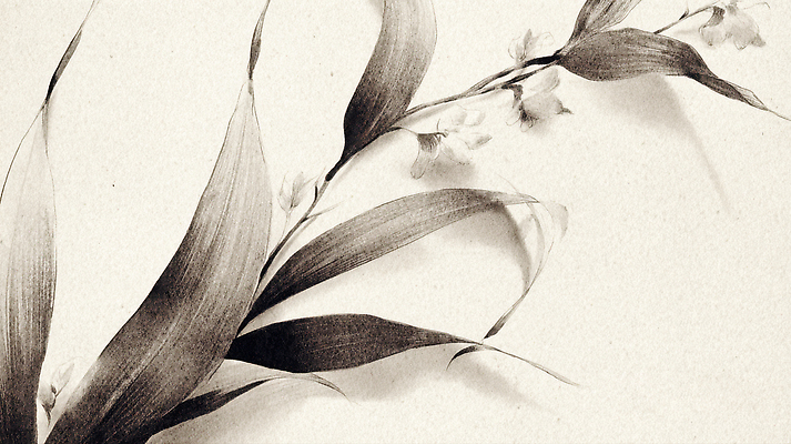 JPG 모양 식물 디자인 꽃 예술 백그라운드 잎 일러스트 자연 흑백 수묵화 미술 평화 그리기 질감 감성 조화 뷰티풀 디테일 국내일러스트 AI일러스트 AI콘텐츠 컨셉 모션 문화예술 촬영기법 생태계 파일형식