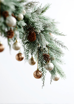 JPG 편집이미지 크리스마스 겨울 자연 핀란드 장식 인테리어 크리스마스트리 축제 금색 나뭇가지 소나무 은색 소원 조화 편집실사 나무 디자인 계절 기념일 컬러 북유럽 CG 생태계 파일형식