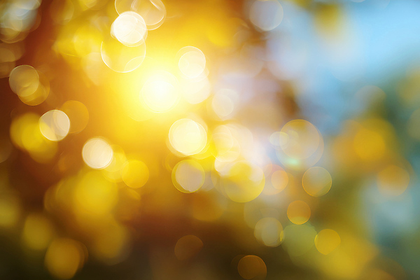 JPG 편집이미지 컬러 백그라운드 잎 자연 조명 따뜻함 빛 햇빛 숲 뷰티풀 몽환 이미지편집 AI포토 AI콘텐츠 식물 컨셉 태양 생태계 파일형식