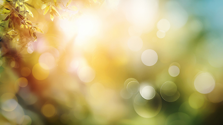 JPG 편집이미지 계절 백그라운드 자연 나뭇잎 풍경 초록색 빛 햇빛 고요 광선 숲 감성 뷰티풀 색채 이미지편집 AI포토 AI콘텐츠 컬러 컨셉 잎 태양 생태계 파일형식