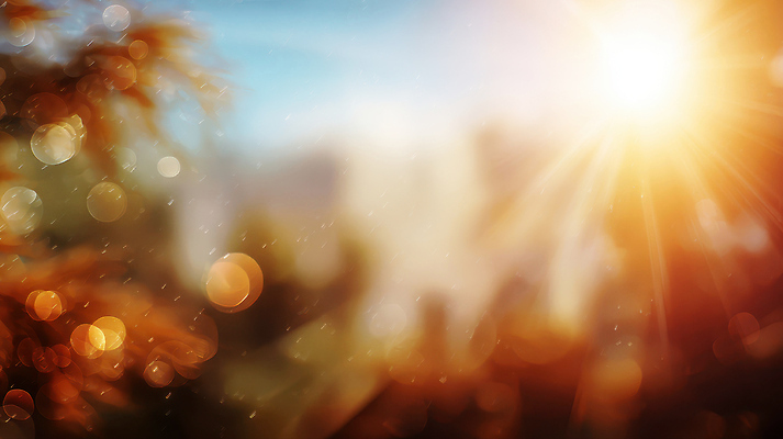 JPG 나무 편집이미지 자연 아침 나뭇잎 풍경 빛 햇빛 고요 광선 부드러움 소음 뷰티풀 색감 이미지편집 AI포토 AI콘텐츠 주간 식물 잎 태양 소리 감각 생태계 파일형식