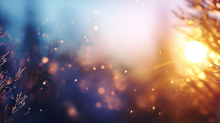 JPG 나무 편집이미지 겨울 자연 아침 풍경 공중 빛 햇빛 고요 눈송이 장면 뷰티풀 흩어짐 이미지편집 AI포토 AI콘텐츠 주간 식물 계절 컨셉 눈_날씨 태양 생태계 파일형식