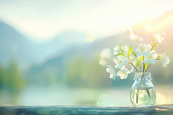 JPG 식물 편집이미지 꽃 화분 화초 컬러 자연 생명 산 풍경 물 햇빛 꽃병 봄 조화 뷰티풀 편집실사 AI포토 AI콘텐츠 자연요소 계절 태양 CG 생태계 파일형식