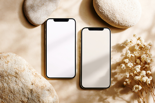 JPG 편집이미지 디자인 꽃 자연 탁자 아침 모바일 생활 전자제품 스마트폰 돌_바위 오브젝트 편집실사 AI포토 AI콘텐츠 주간 식물 가구 핸드폰 스마트기기 CG 생태계 파일형식