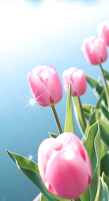 식물 계절 꽃 컬러 모션 CG 생태계 파일형식 튤립 분홍색 수영장 하늘 자연 반짝임 여름 풍경 뷰티풀 잎 화초 정원 꽃밭 편집이미지 편집실사 JPG