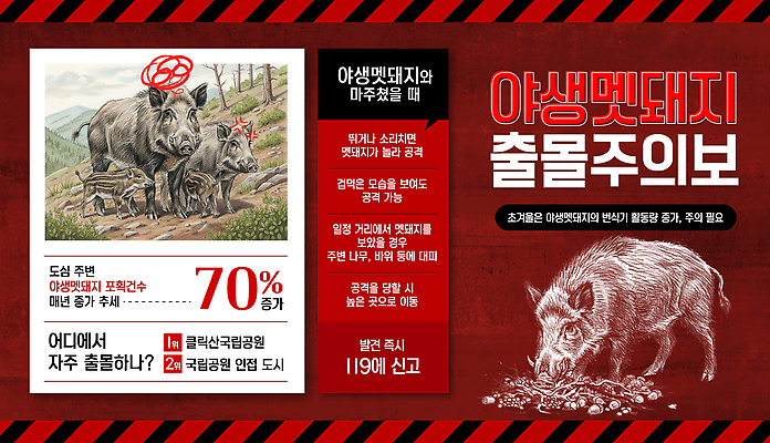 템플릿 컨셉 포유류 자연 도시 보호 파일형식 벡터 도심 주민 안전 상승 경고 정보 위험 사냥 자연보호 사건 동물 이미지템플릿 AI파일 멧돼지