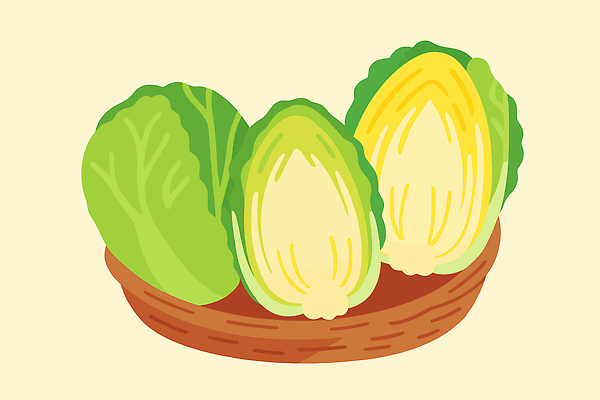 컬러 채소 일러스트 식재료 재료 자연 식탁 김치 건강 요리 농작물 바구니 식사 샐러드 신선 양배추 김장 비타민 신선도 국내일러스트 AI파일 한식 음식 농업 탁자 생태계 영양소 파일형식 벡터