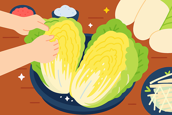 전통 손 한식 채소 일러스트 재료 김치 요리 식사 신선 양념 배추 준비 김장 건강식 다듬기 국내일러스트 AI파일 음식 모션 신체부위 파일형식 벡터