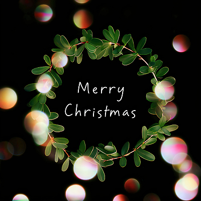 JPG 편집이미지 크리스마스장식 크리스마스 자연 따뜻함 장식 초록색 빛 반짝임 축제 화환 기쁨 축하 분위기 크리스마스리스 이미지편집 AI컴퓨터그래픽 AI콘텐츠 기념일 꽃 감정 컬러 컨셉 모션 생태계 파일형식