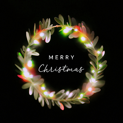 JPG 식물 편집이미지 디자인 크리스마스 검은배경 조명 기념 따뜻함 장식 축제 화환 분위기 저녁 크리스마스리스 이미지편집 AI컴퓨터그래픽 AI콘텐츠 기념일 꽃 백그라운드 컨셉 검은색 야간 파일형식