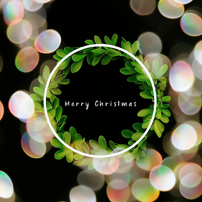 JPG 식물 편집이미지 기념일 행복 백그라운드 크리스마스 겨울 자연 조명 장식 초록색 반짝임 파티 축제 축하 분위기 크리스마스리스 이미지편집 AI컴퓨터그래픽 AI콘텐츠 계절 감정 컬러 컨셉 모션 이벤트 화환 생태계 파일형식