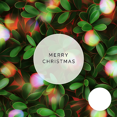 JPG 편집이미지 백그라운드 잎 크리스마스 자연 조명 기념 장식 초록색 빛 축제 축하 화려 심플 장면 뷰티풀 크리스마스리스 이미지편집 AI컴퓨터그래픽 AI콘텐츠 식물 기념일 컬러 컨셉 화환 생태계 파일형식