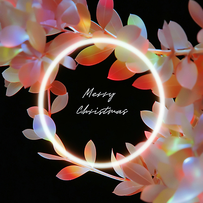 JPG 편집이미지 디자인 화초 컬러 크리스마스 겨울 조명 장식 빛 파티 축하 분위기 편안함 연말 크리스마스리스 이미지편집 AI컴퓨터그래픽 AI콘텐츠 식물 계절 기념일 컨셉 이벤트 화환 감각 파일형식