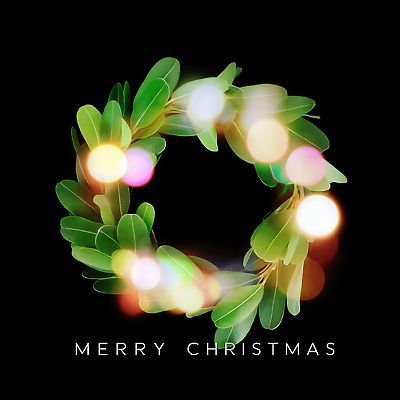 JPG 편집이미지 감정 잎 크리스마스 겨울 전구 조명 장식 초록색 빛 환경 축제 화환 축하 뷰티풀 크리스마스리스 이미지편집 AI컴퓨터그래픽 AI콘텐츠 식물 계절 기념일 꽃 컬러 컨셉 파일형식