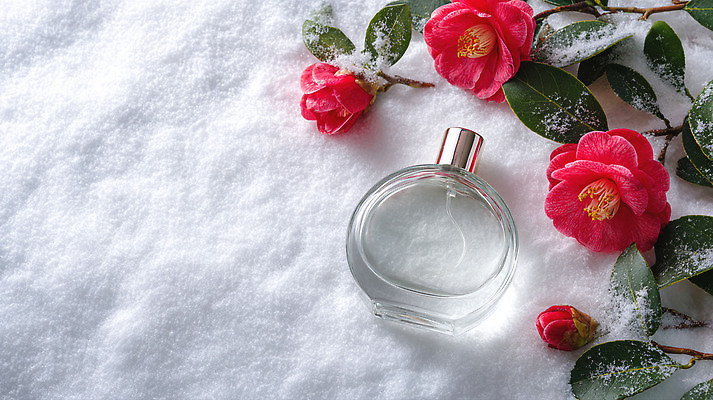 JPG 편집이미지 계절 꽃 감정 꽃다발 백그라운드 겨울 자연 차가움 향수 향기 조화 뷰티풀 편집실사 AI컴퓨터그래픽 AI콘텐츠 식물 화장품 CG 생태계 냄새 파일형식