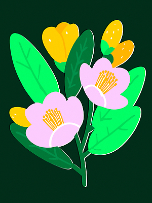 식물 디자인 꽃 예술 분홍색 컬러 부케 잎 일러스트 자연 생명 장식 초록색 노란색 정원 화사함 조화 뷰티풀 생동감 국내일러스트 AI파일 꽃다발 컨셉 생태계 파일형식 벡터