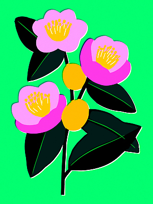 식물 디자인 꽃 예술 분홍색 백그라운드 잎 일러스트 자연 초록색 표현 모던 화사함 뷰티풀 생동감 창의성 국내일러스트 AI파일 컬러 컨셉 생태계 파일형식 벡터