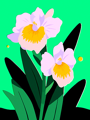 식물 디자인 꽃 예술 컬러 백그라운드 잎 일러스트 자연 생명 파란색 원근감 난초 식물원 조화 뷰티풀 생동감 디테일 국내일러스트 AI파일 뷰포인트 생태계 파일형식 벡터