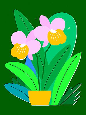 식물 꽃잎 꽃 화분 화초 예술 줄기 분홍색 잎 일러스트 자연 생명 장식 초록색 난초 원예 뷰티풀 생동감 정물화 국내일러스트 AI파일 컬러 취미 그림 생태계 파일형식 벡터