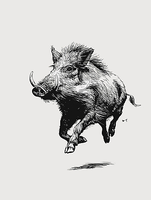 동물 일러스트 자연 생명 달리기 힘 숲 스케치 그림 생태계 사냥 귀 이미지 갈기 서식지 멧돼지 국내일러스트 AI파일 포유류 모션 미술 신체부위 파일형식 벡터