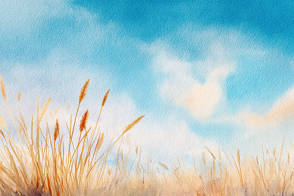 JPG 식물 컬러 일러스트 자연 하늘 바람 수채화 풍경 초원 일상 여름 평화 환경 고요 자유 가을 갈대밭 감성 뷰티풀 국내일러스트 자연요소 계절 컨셉 날씨 라이프 생태계 파일형식 갈대_식물