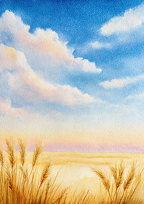 자연요소 계절 바다 컨셉 농업 날씨 노을 생태계 파일형식 갈대_식물 해변 일몰 하늘 풍경 자연 모래사장 평화 바람 수채화 농작물 지평선 차분 색감 여름 뷰티풀 일러스트 국내일러스트 JPG 갈대밭 가을