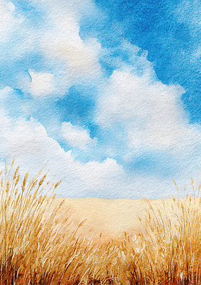 JPG 일러스트 자연 하늘 수채화 따뜻함 풍경 초원 일상 여름 파란색 햇빛 농장 평화 수확 가을 시원함 갈대밭 그라데이션 뷰티풀 국내일러스트 계절 컬러 컨셉 농업 라이프 태양 생태계 파일형식 갈대_식물