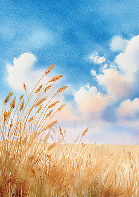 JPG 예술 컬러 농업 일러스트 자연 수채화 초원 여름 태양 평화 가을 들풀 그림 갈대밭 감성 밀밭 오후 풍경화 국내일러스트 자연요소 계절 산업 컨셉 밭 밀 생태계 파일형식 갈대_식물