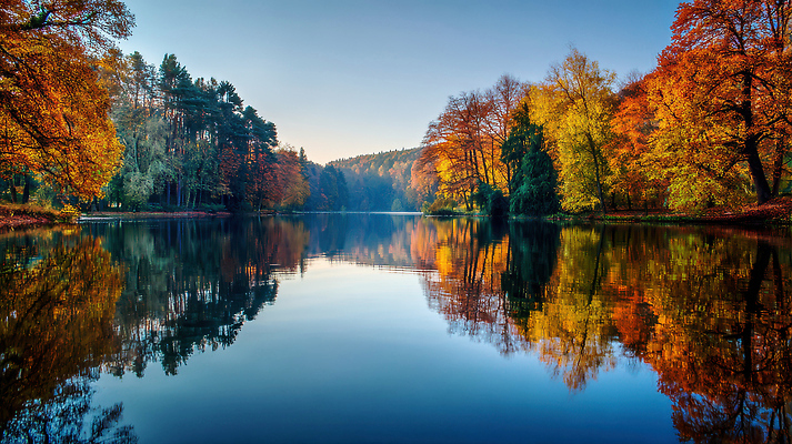 JPG 나무 편집이미지 호수 컬러 여행 단풍 자연 하늘 아침 산 풍경 물 햇빛 반사 고요 가을 편집실사 주간 자연요소 식물 계절 잎 태양 CG 생태계 파일형식