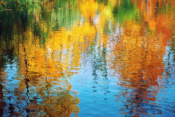 JPG 나무 편집이미지 호수 물결 컬러 자연 재질 나뭇잎 풍경 물 반사 고요 가을 청명 차분 편집실사 자연요소 식물 계절 컨셉 잎 CG 생태계 파일형식