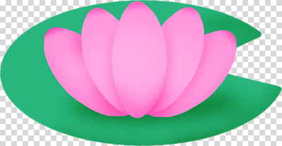 식물 편집이미지 꽃 잎 자연 생명 연꽃 초록색 평화 환경 정원 수중식물 연습 생태계 PNG 컬러 컨셉 파일형식