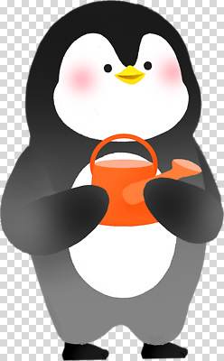 컬러 컨셉 모션 조류 표정 말하기 생태계 파일형식 펭귄 물뿌리개 귀여움 식물 돌봄 주황색 동물 캐릭터 웃음 대화 자연 물주기 환경 편집이미지 PNG