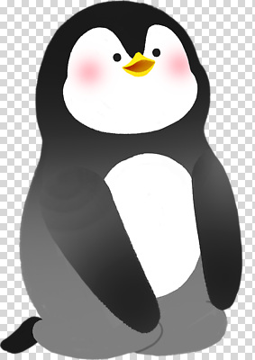 컨셉 조류 촬영기법 극지방 파일형식 펭귄 캐릭터 귀여움 동물 흑백 색감 표정 디자인 바다 남극 편집이미지 PNG