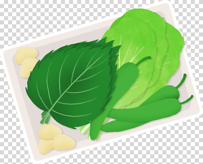 식기 채소 파일형식 고추 양상추 마늘 건강 신선 접시 식사 재료 요리 식재료 편집이미지 PNG