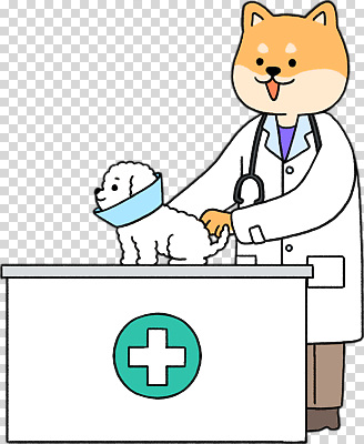 편집이미지 건강 병원 치료 반려동물 의사 강아지 보호장비 동물병원 PNG 수의사 동물 의학 장비 의료진 개 파일형식 직업 포유류