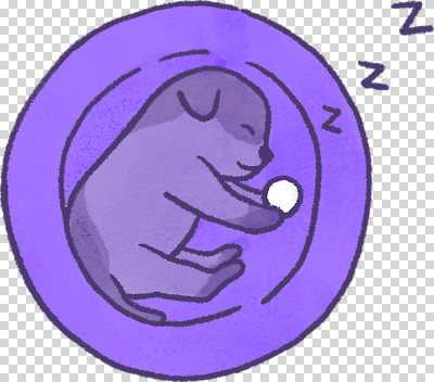 동물 편집이미지 공 휴식 주택 귀여움 아기 잠 수면 도박 강아지 포근함 편안함 PNG 컨셉 사람 건물 물 반려동물 감각 개 파일형식