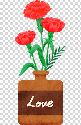 편집이미지 디자인 꽃 선물 사랑 장식 빨간색 꽃병 카네이션 그림 PNG 식물 감정 컬러 파일형식