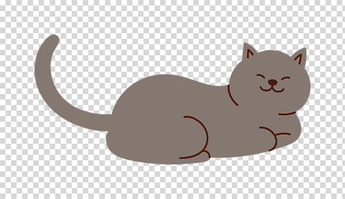 동물 편집이미지 행복 털 표정 일상 반려동물 갈색 고양이 편안함 부드러움 PNG 감정 컬러 포유류 라이프 감각 파일형식