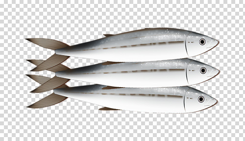 편집이미지 음식 바다 식재료 자연 어류 요리 판매 식사 생선회 신선 시장 구매 해산물 PNG 쇼핑 수중동물 회 생태계 파일형식