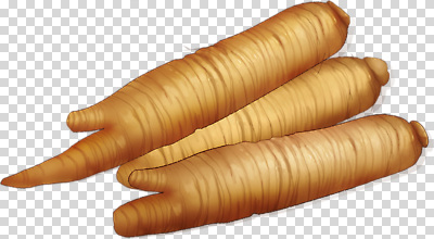 식물 편집이미지 음식 채소 재료 자연 건강 요리 갈색 신선 향신료 유기농 질감 생강 PNG 웰빙 컬러 생태계 향미료 파일형식