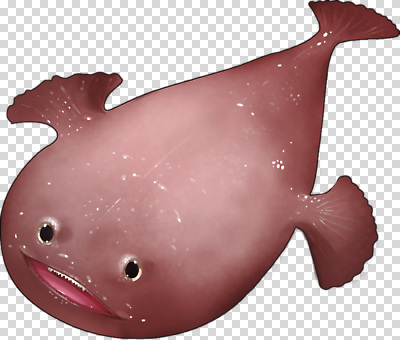 편집이미지 바다 생물 어류 환경 심해 해저 수중 수영 수중동물 머리핀 PNG 동물 장신구 바닷속 수상스포츠 파일형식