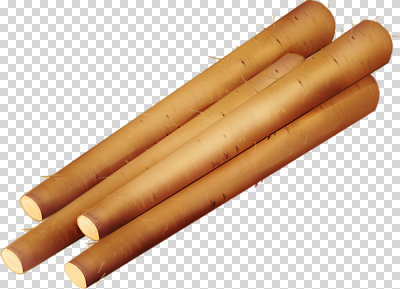 나무 편집이미지 외관 건축 재료 자연 장식 갈색 작업 막대기 매끈함 공예 소재 일렬 PNG 식물 컬러 취미 감각 생태계 파일형식