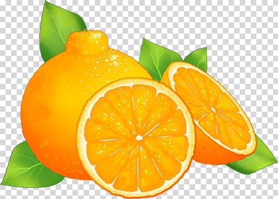 편집이미지 음식 과일 자연 나뭇잎 건강 밝음 여름 신선 자르기 상큼 비타민 PNG 과일조각 색감 계절 조각 잎 모션 생태계 영양소 파일형식