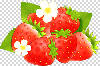 식물 계절 음식 농업 과일 생태계 영양소 파일형식 딸기 신선 꽃 자연 색감 여름 디저트 농장 수확 건강 비타민 조화 편집이미지 PNG