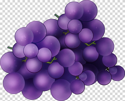 편집이미지 과일 자연 포도 건강 여름 보라색 수확 신선 달콤 과일바구니 비타민 PNG 먹거리 계절 음식 컬러 농업 바구니 맛 생태계 영양소 파일형식