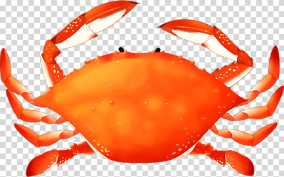 편집이미지 바다 생명 생물 집게 어업 해변 수중동물 게 해산물 생태계 PNG 동물 산업 갑각류 파일형식