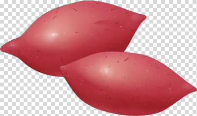 편집이미지 음식 채소 식재료 자연 빨간색 농작물 식사 두개 고구마 부드러움 레시피 건강식품 PNG 나란히 맛있는 컬러 2 농업 뿌리채소 건강 감각 생태계 파일형식