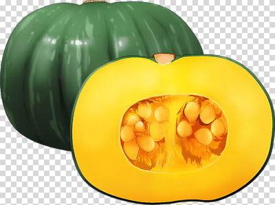 편집이미지 음식 농업 채소 자연 호박 단면 건강 요리 씨앗 초록색 농작물 노란색 신선 PNG 제철 식물 산업 컬러 생태계 파일형식